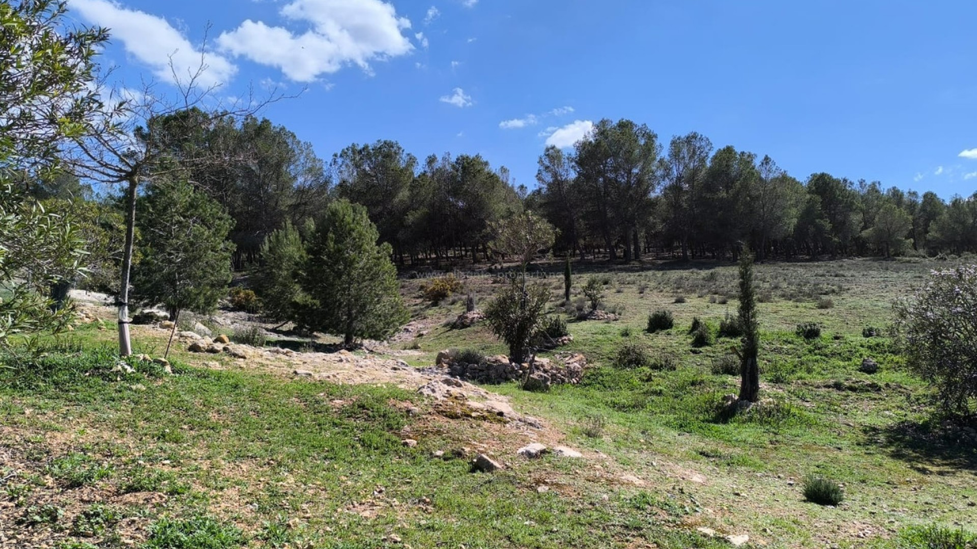 Country House in Villena Centro