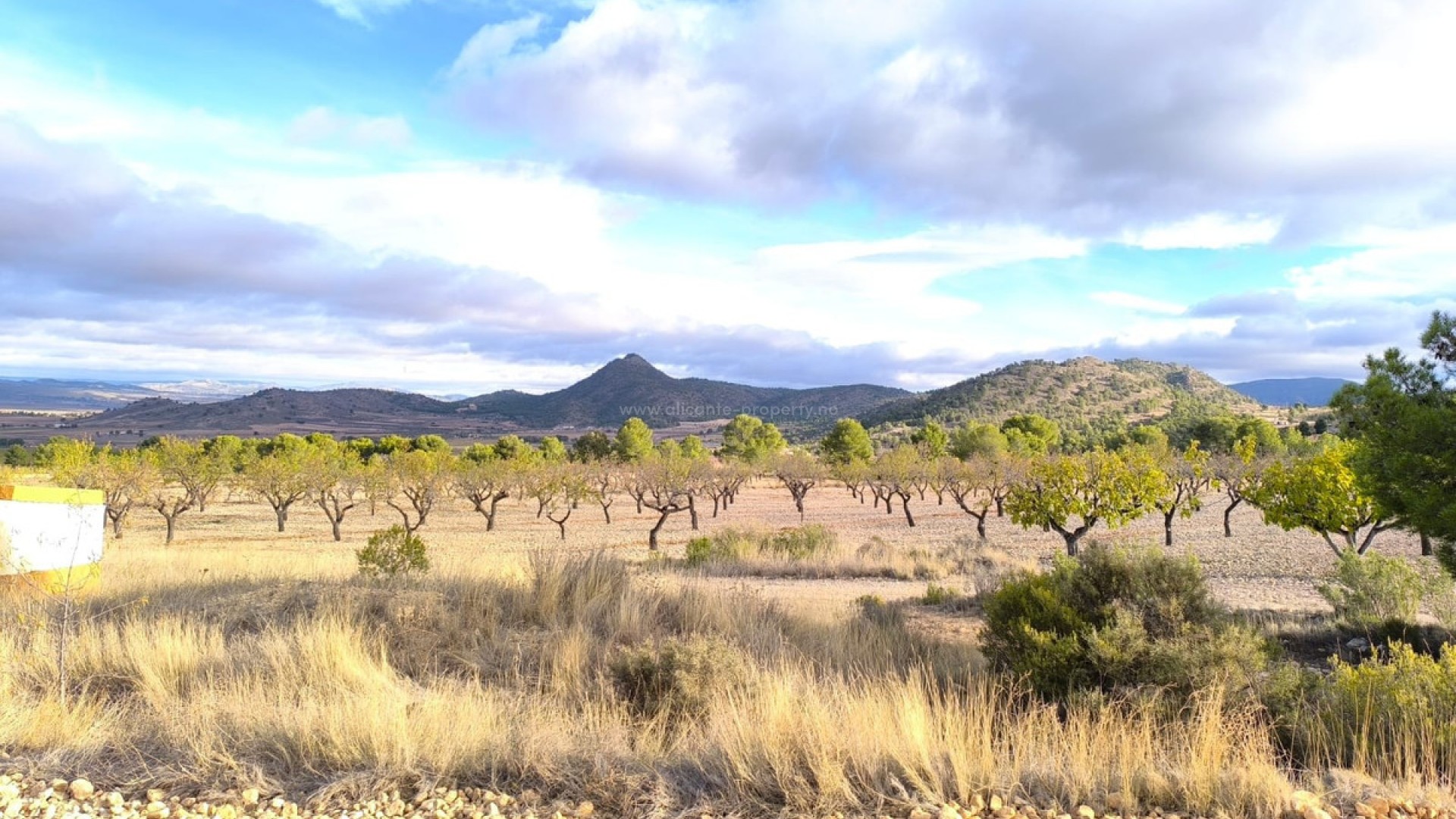 Country House in Yecla Centro