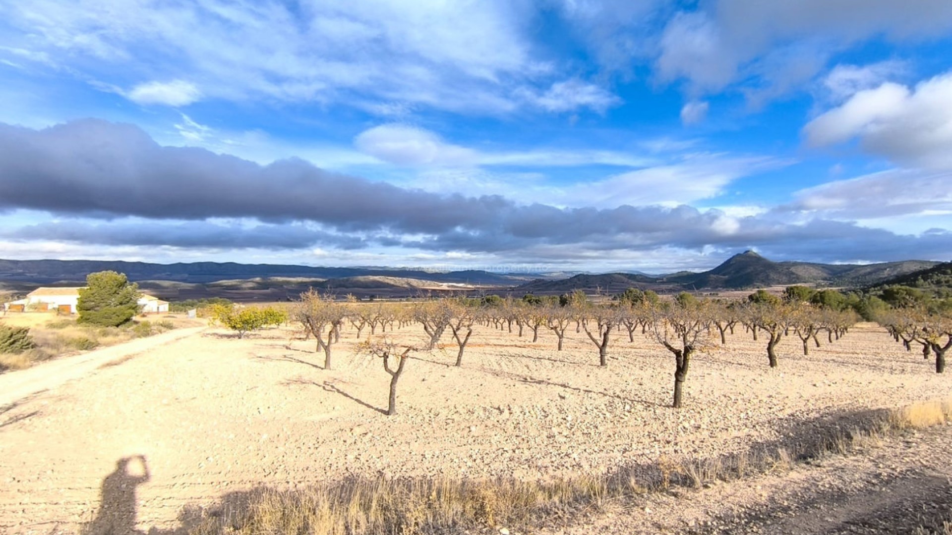 Country House in Yecla Centro