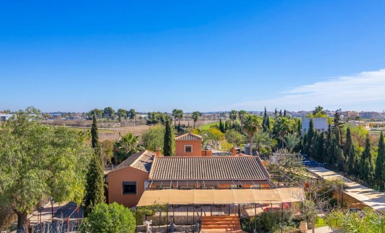 Country House - Resale - Catral - Catral