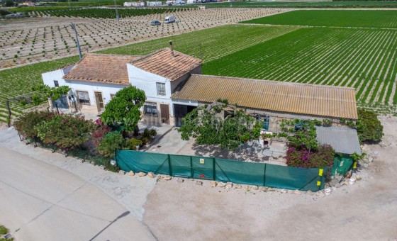 Country House - Resale - Orihuela - Orihuela Centro