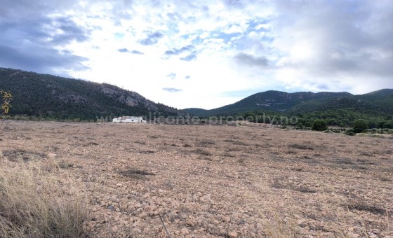 Country House - Resale - Yecla - Yecla Centro