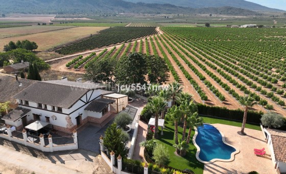 Country House - Resale - Yecla - Yecla Centro