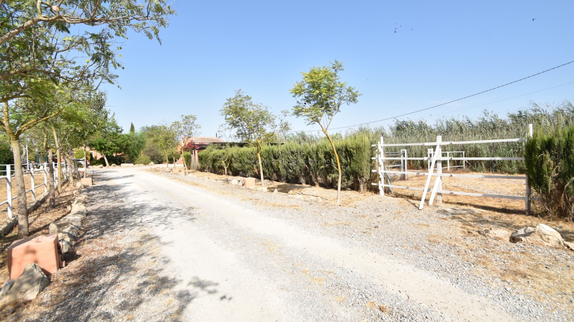Country Property in Catral