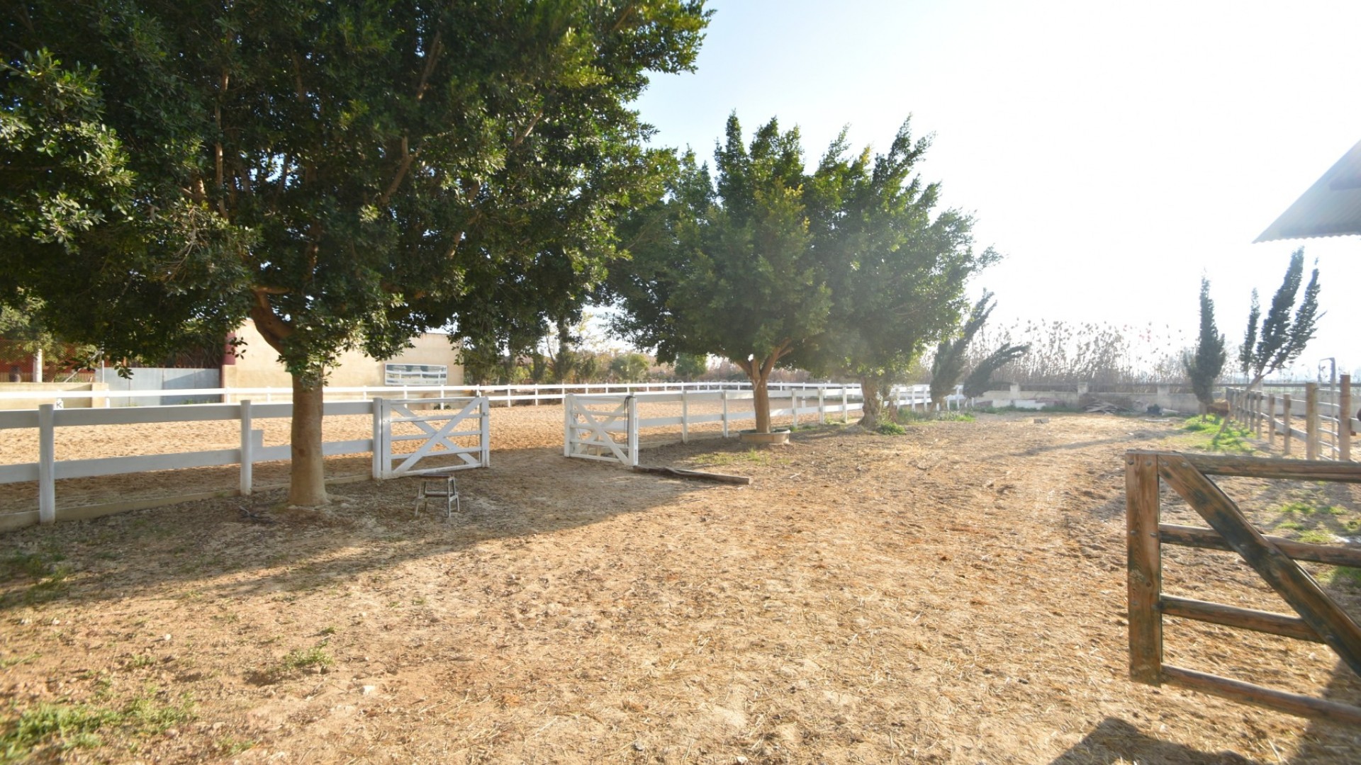Country Property in Dolores