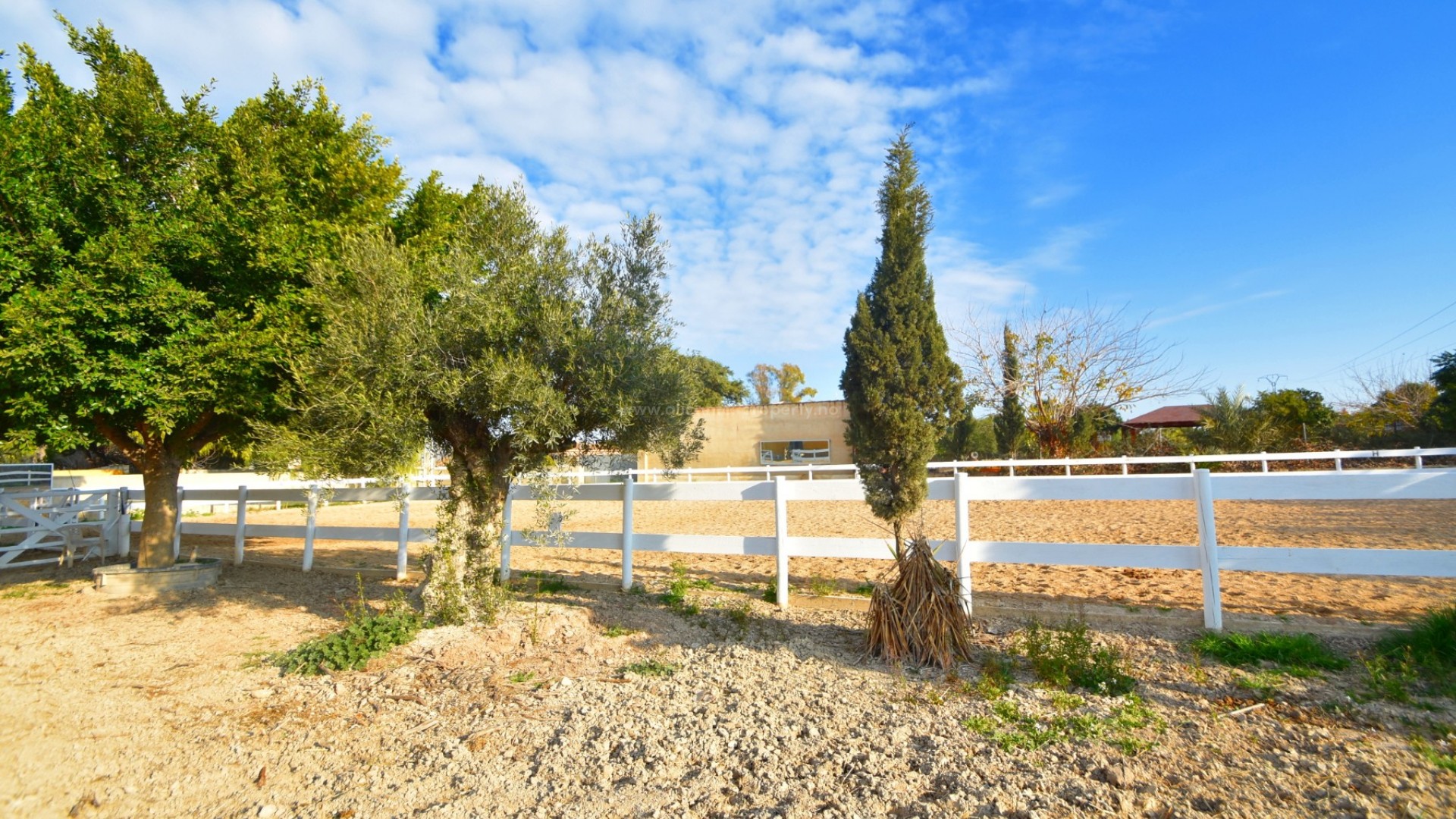Country Property in Dolores