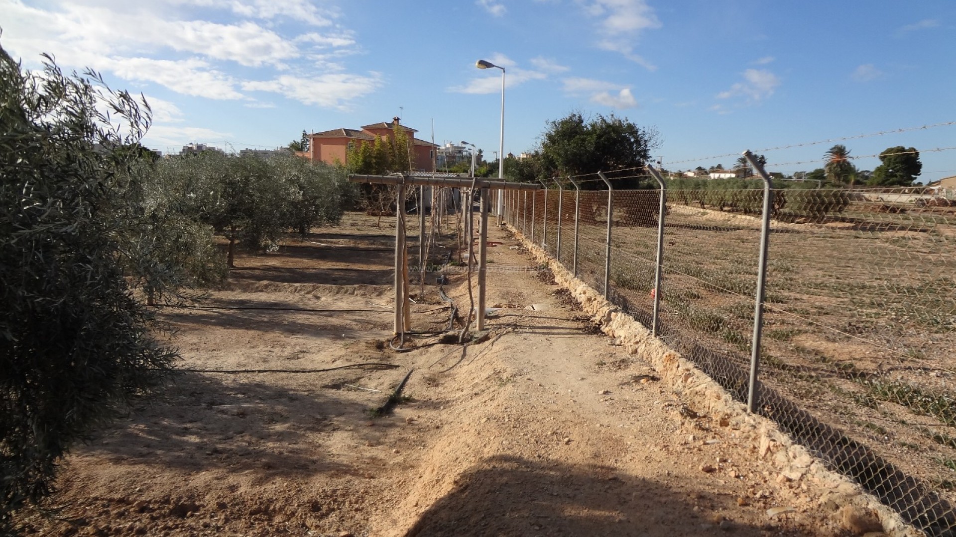 Country Property in El Altet