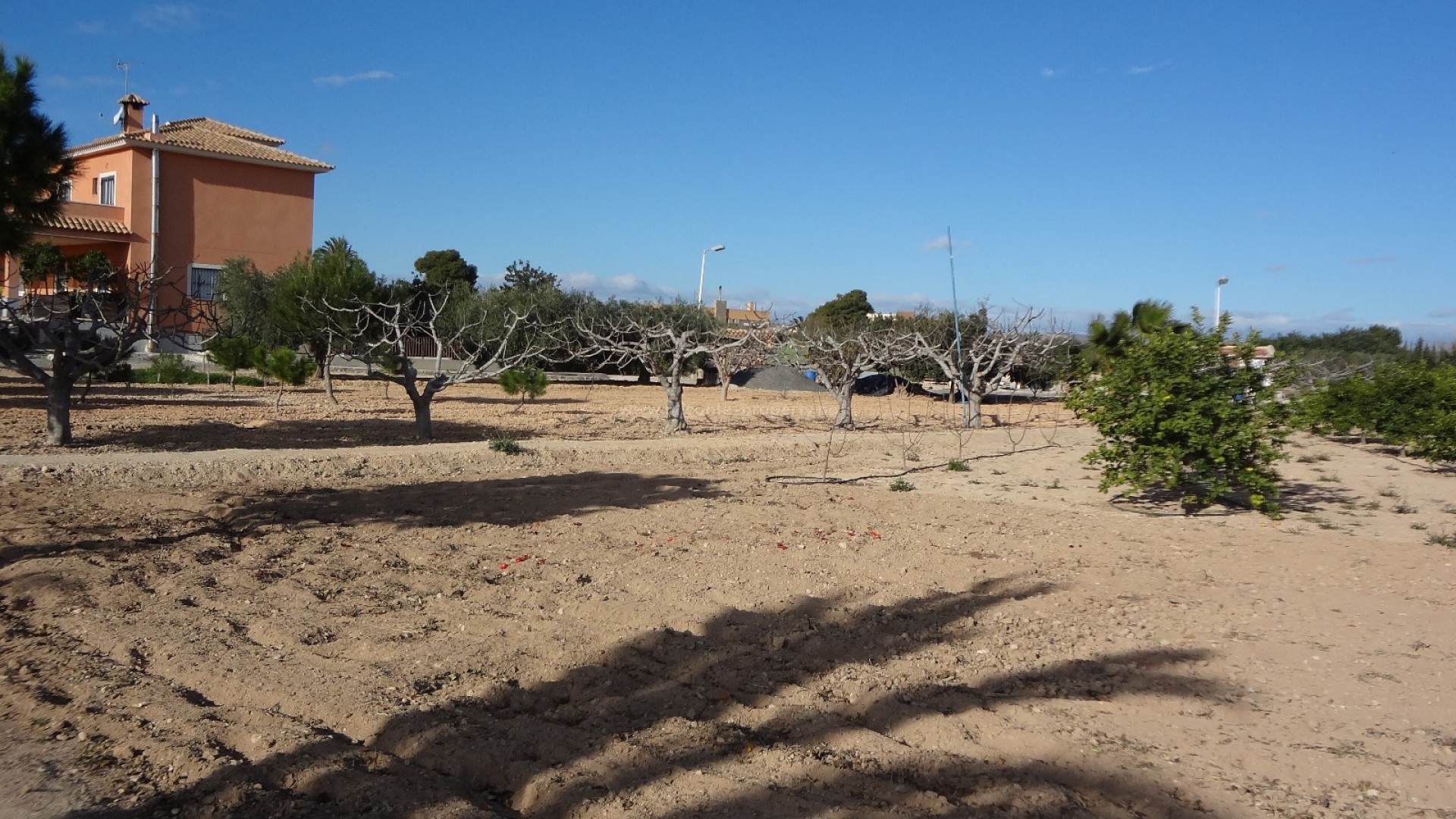 Country Property in El Altet