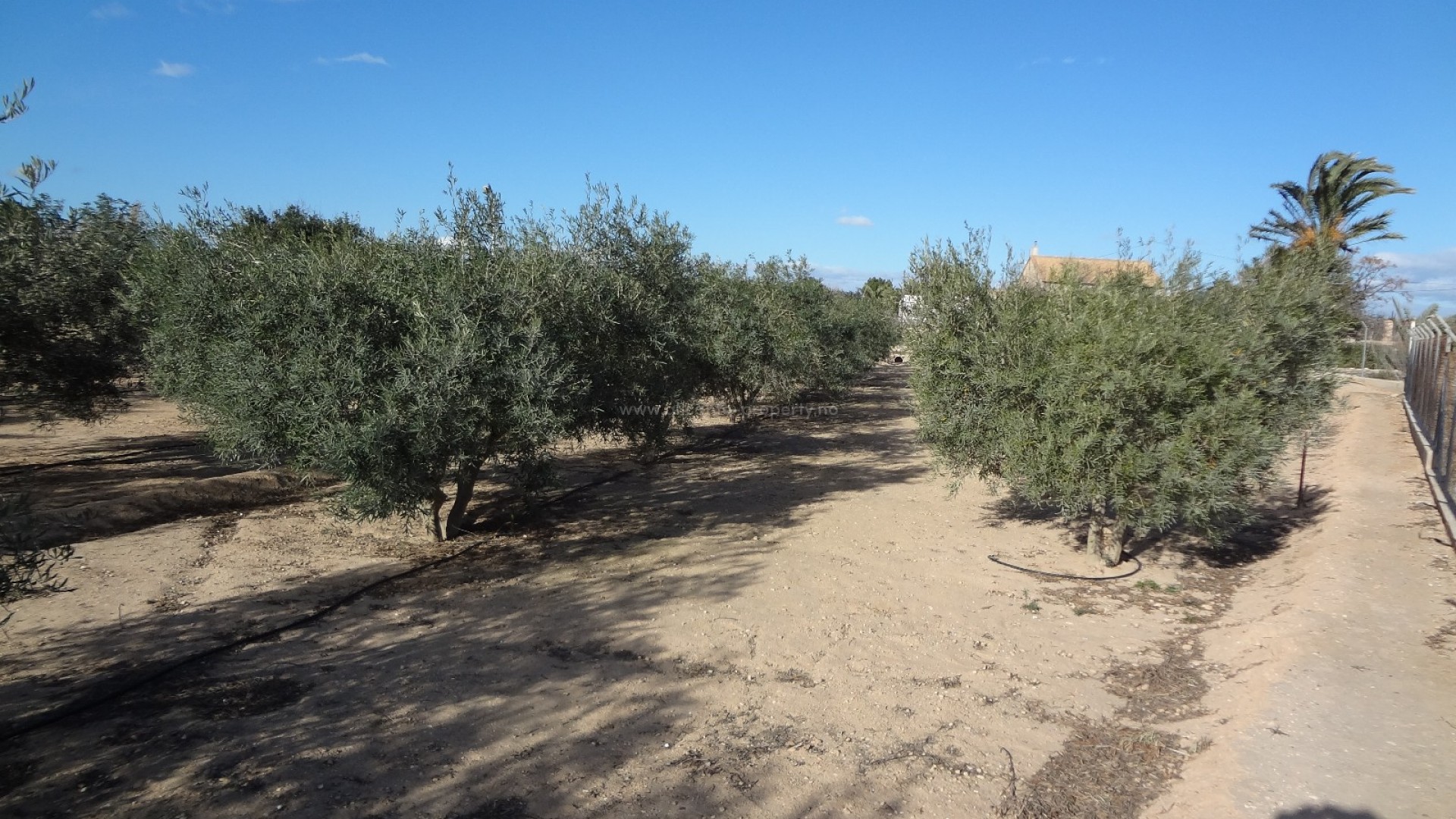 Country Property in El Altet