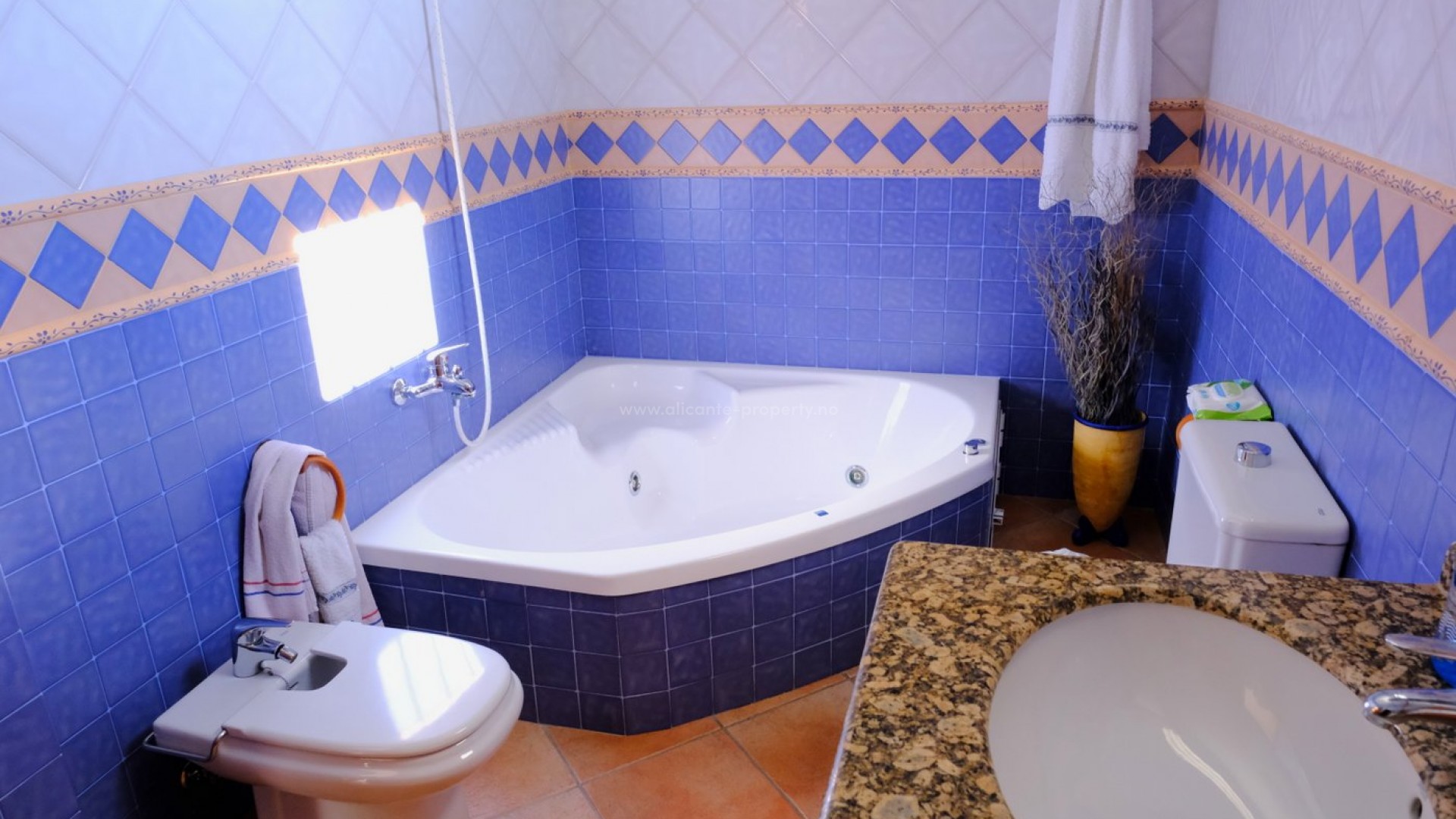 Country Property in Orihuela