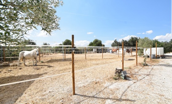 Country Property - Resale - Elche -
                La Marina