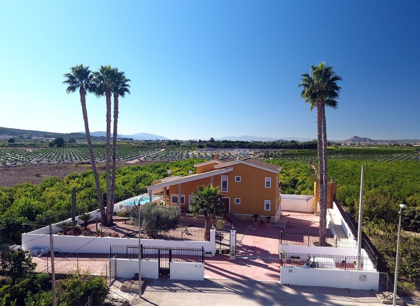 Finca campestre en Orihuela