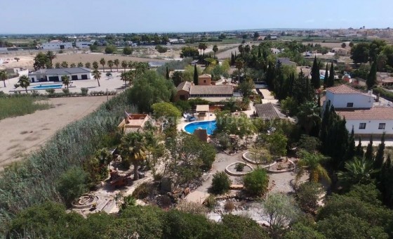 Finca campestre - Reventa - Catral - Catral