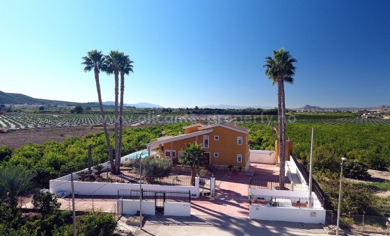 Finca campestre - Reventa - Orihuela - Orihuela