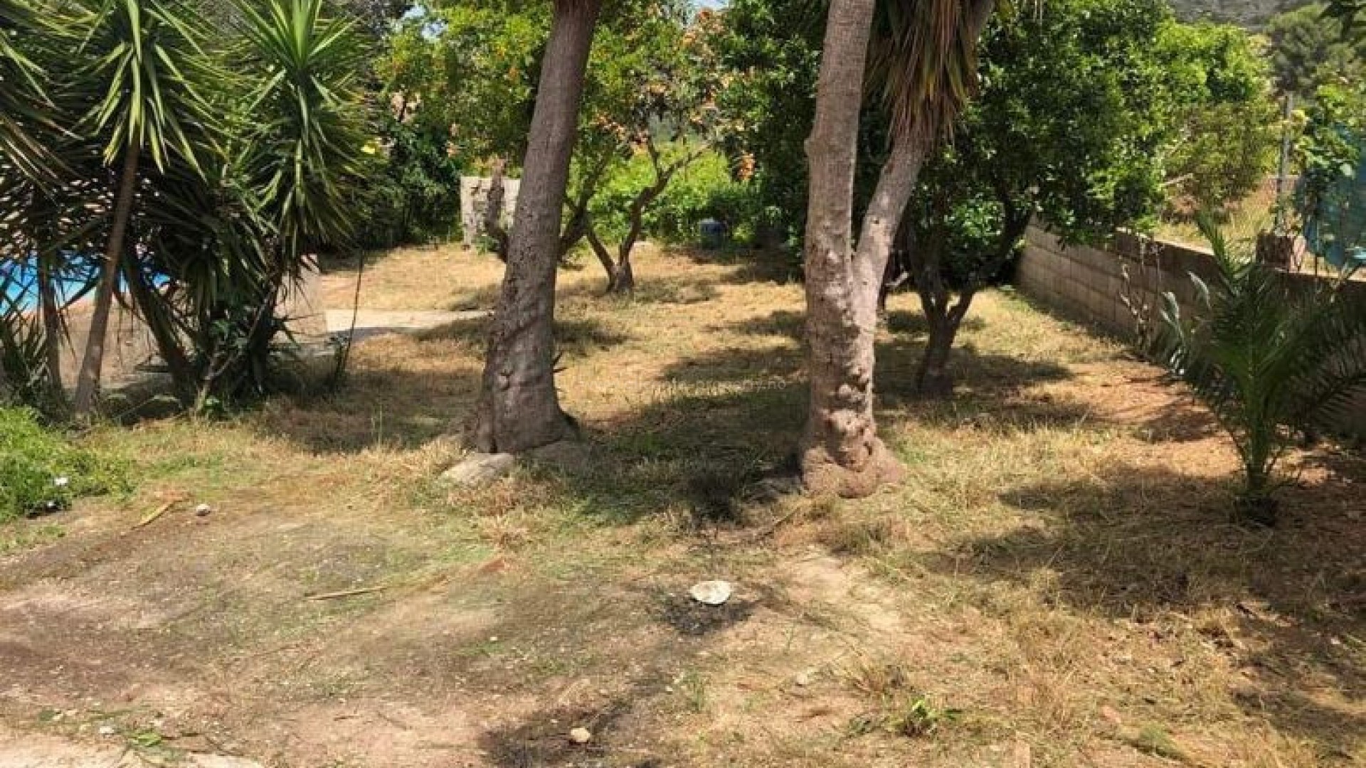 Finca / Country House i Real De Montroi