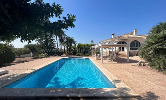 Hus / Villa - Brukt bolig - Ciudad Quesada - Ciudad Quesada