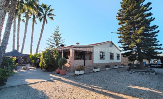 Hus / Villa - Brukt bolig - Elche - Las Bayas