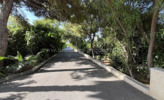 Hus / Villa - Brukt bolig - Muchamiel - Mutxamel - Muchamiel - Mutxamel Centro