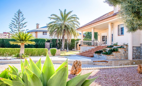 Hus / Villa - Brukt bolig - Pilar de la Horadada -
                Pilar de la Horadada