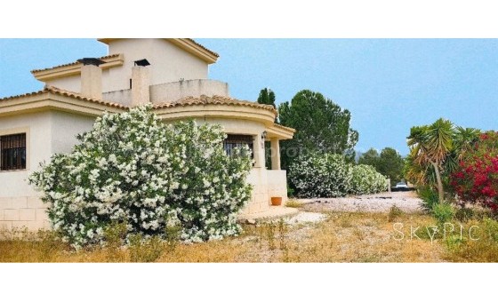 Hus / Villa - Brukt bolig - PINOSO - Pinoso Centro