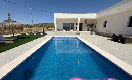 Hus / Villa - Brukt bolig - PINOSO - Pinoso Centro