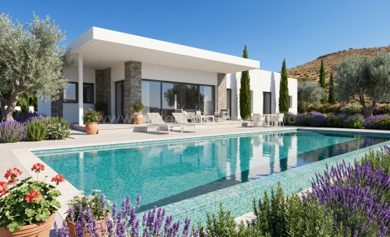 Hus / Villa - Brukt bolig - PINOSO -
                Pinoso Centro