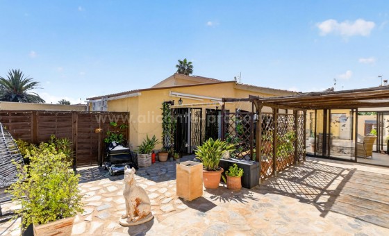 Hus / Villa - Brukt bolig - Torrevieja - Torrevieja Centro