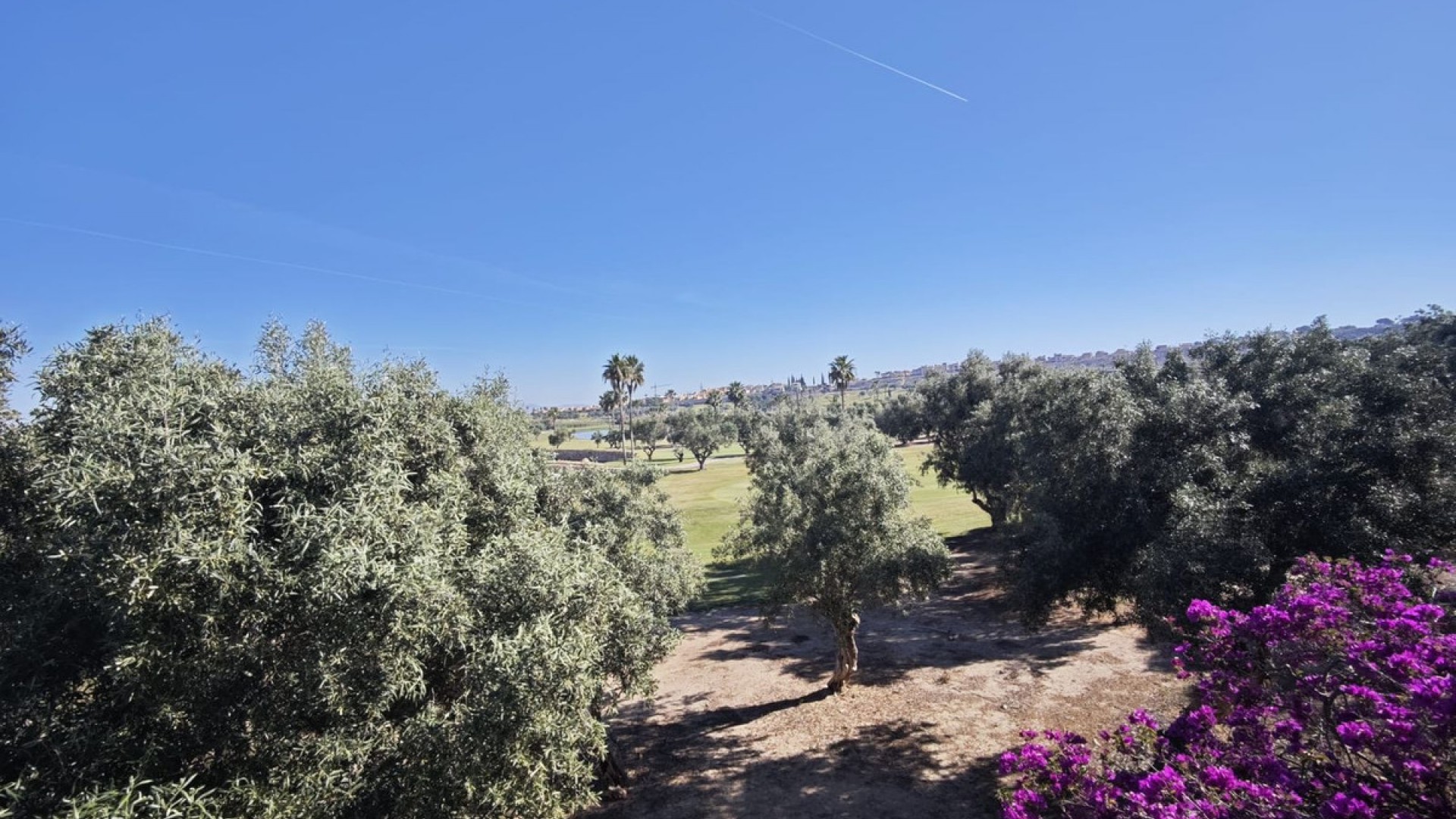 Hus / Villa i Algorfa Centro