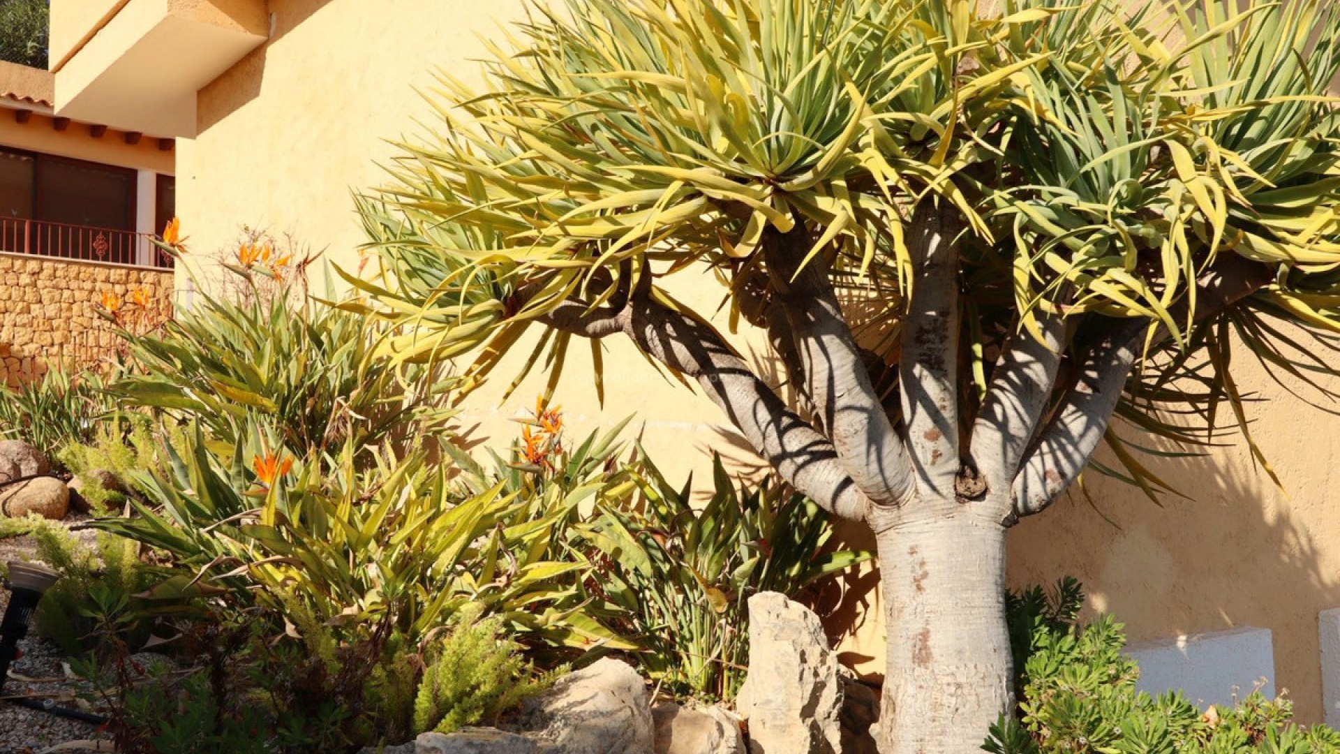 Hus / Villa i Altea Centro