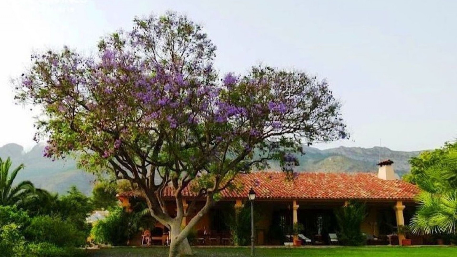 Hus / Villa i Altea Centro