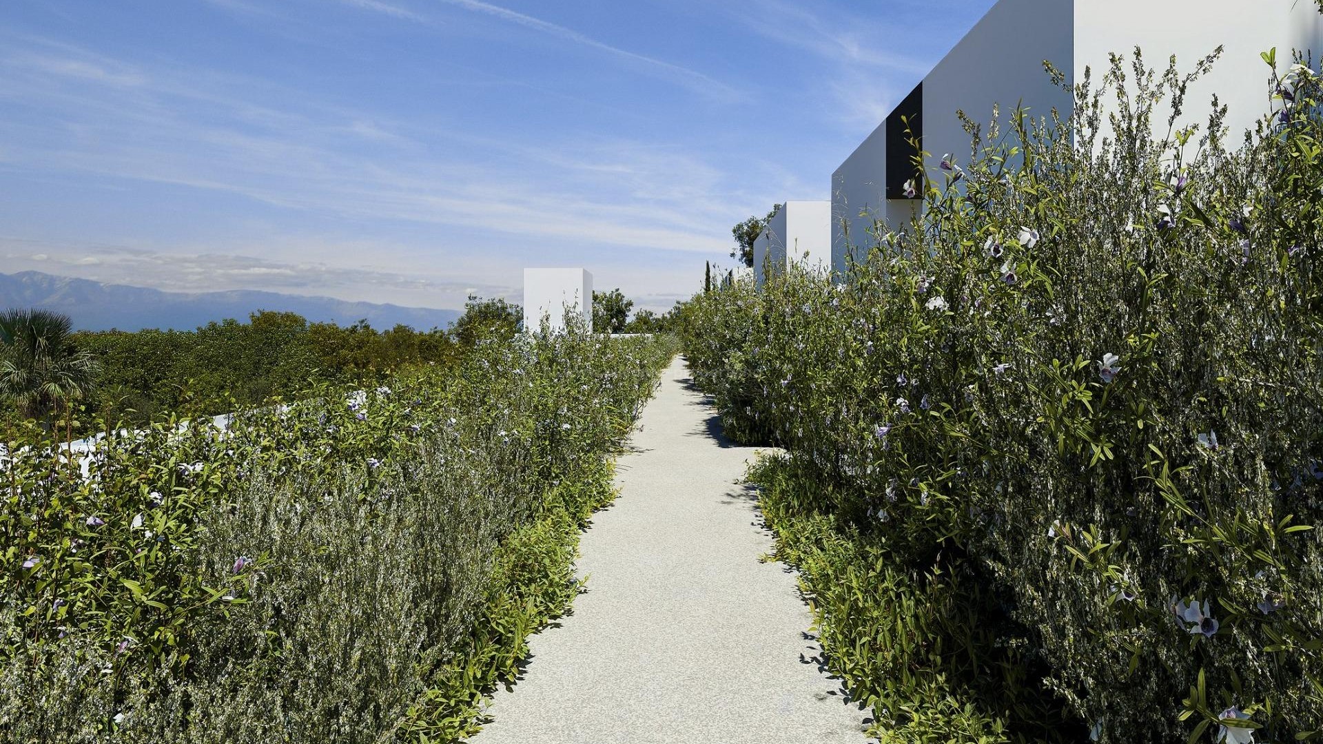 Hus / Villa i Barranc Fondo