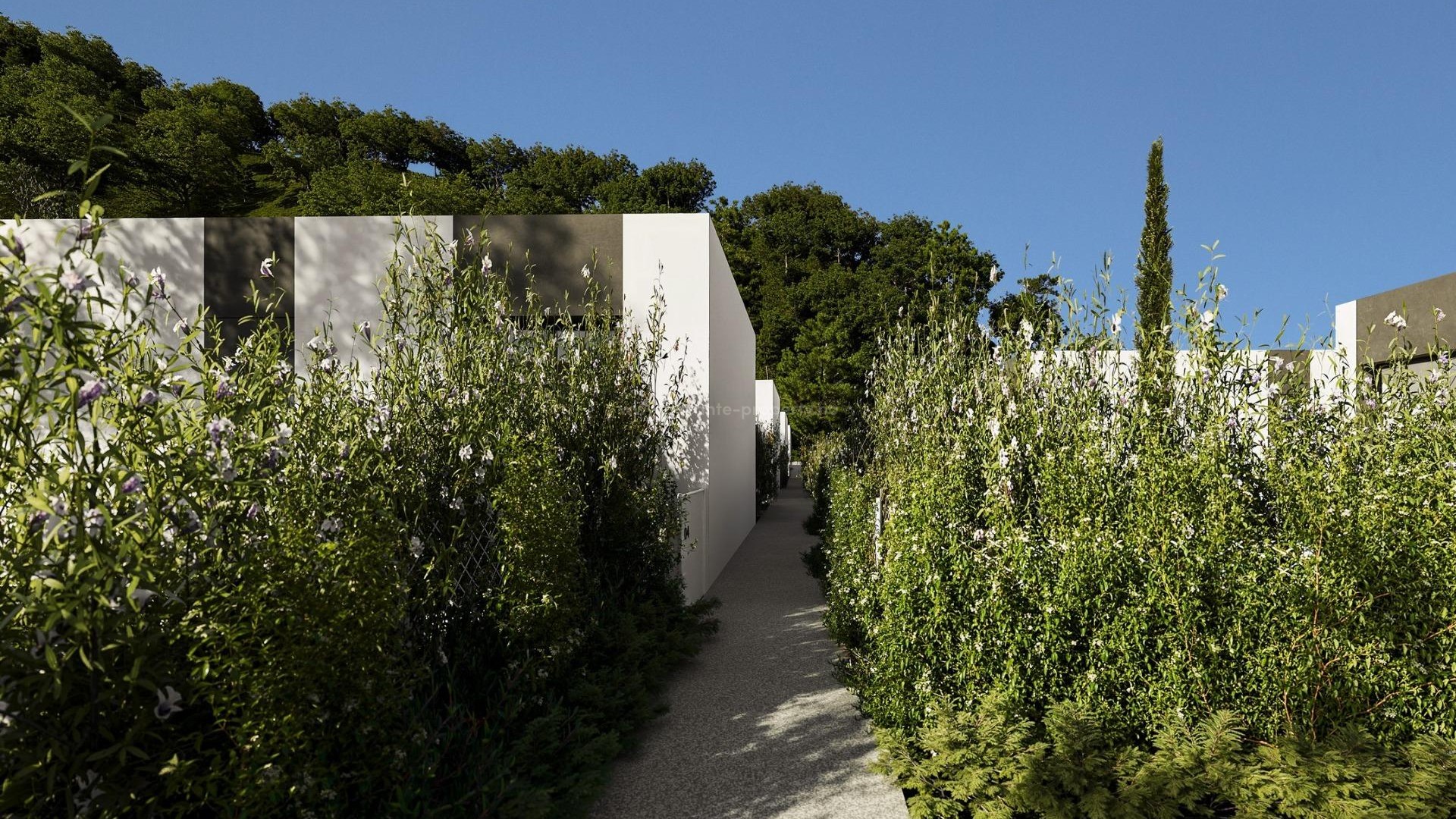 Hus / Villa i Barranc Fondo