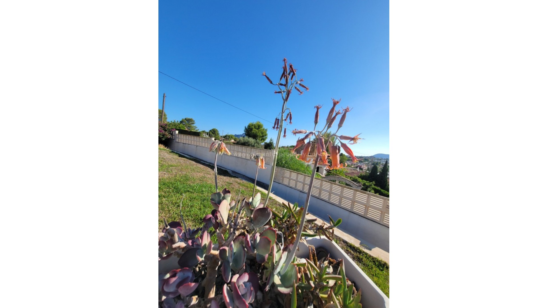 Hus / Villa i Calpe Centro