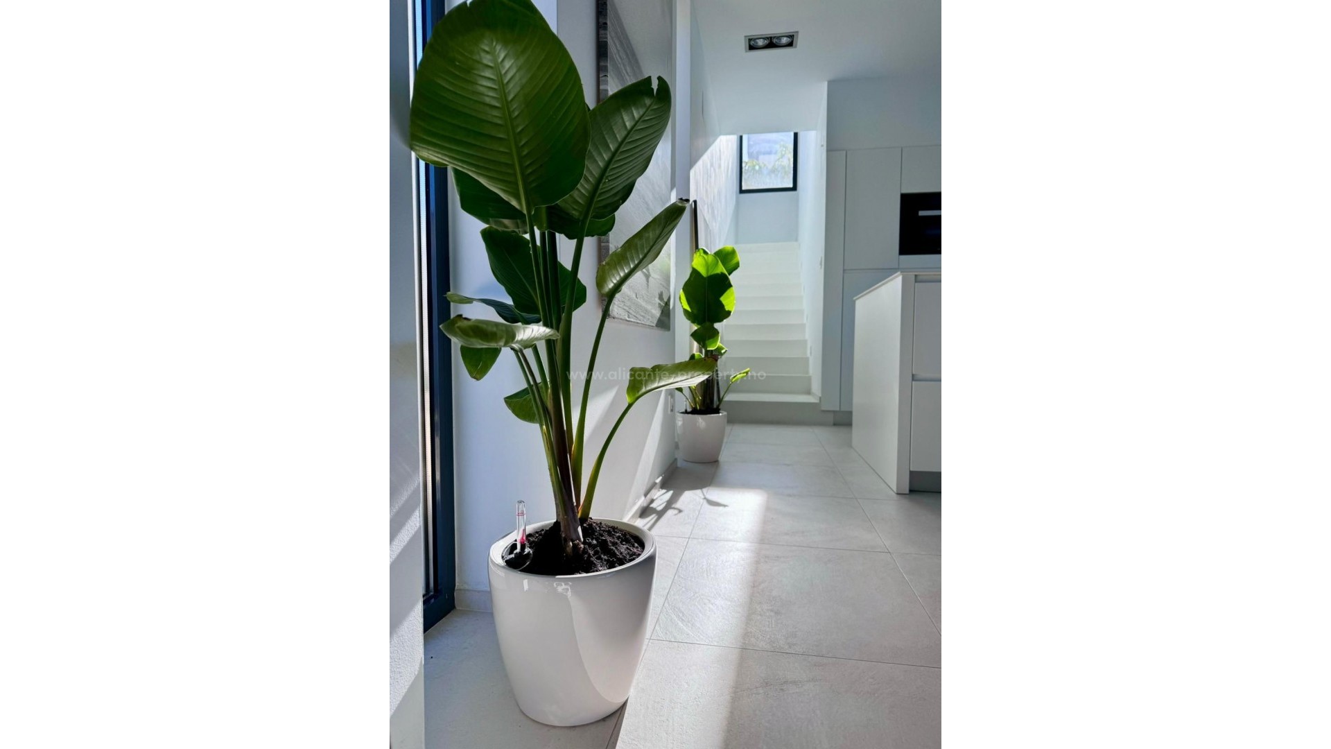 Hus / Villa i Calpe Centro