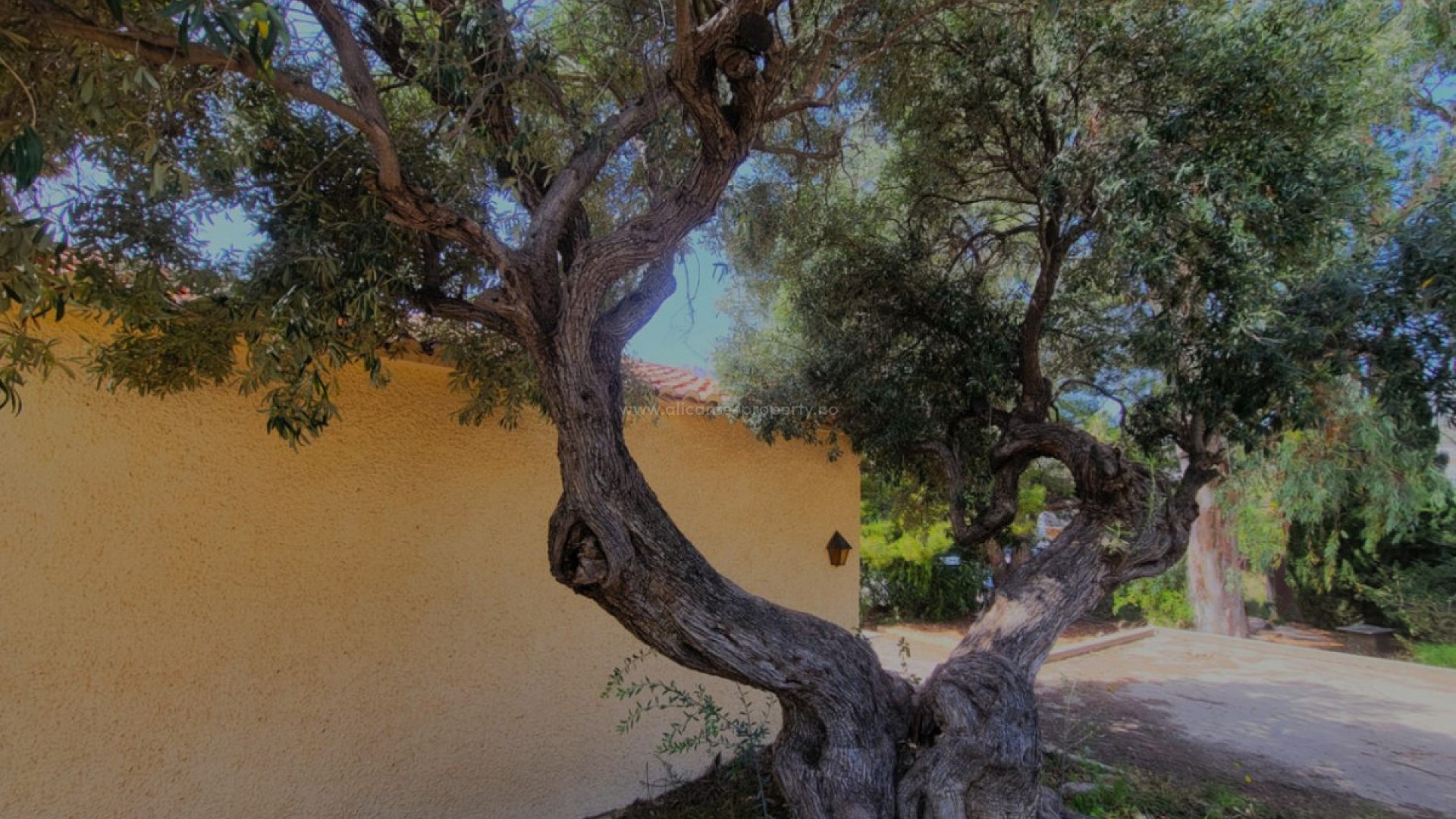Hus / Villa i Calpe Centro