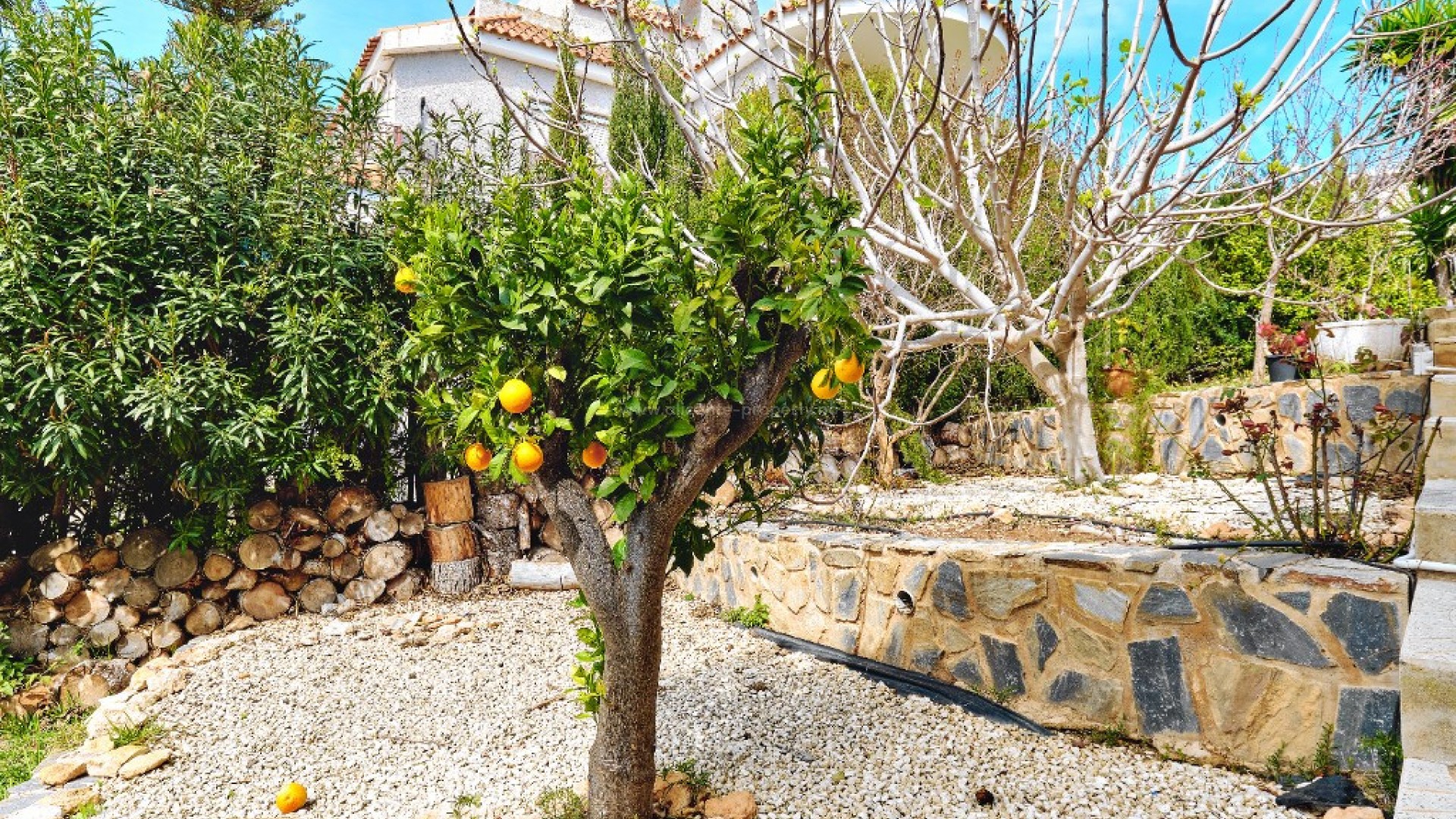 Hus / Villa i Campoamor