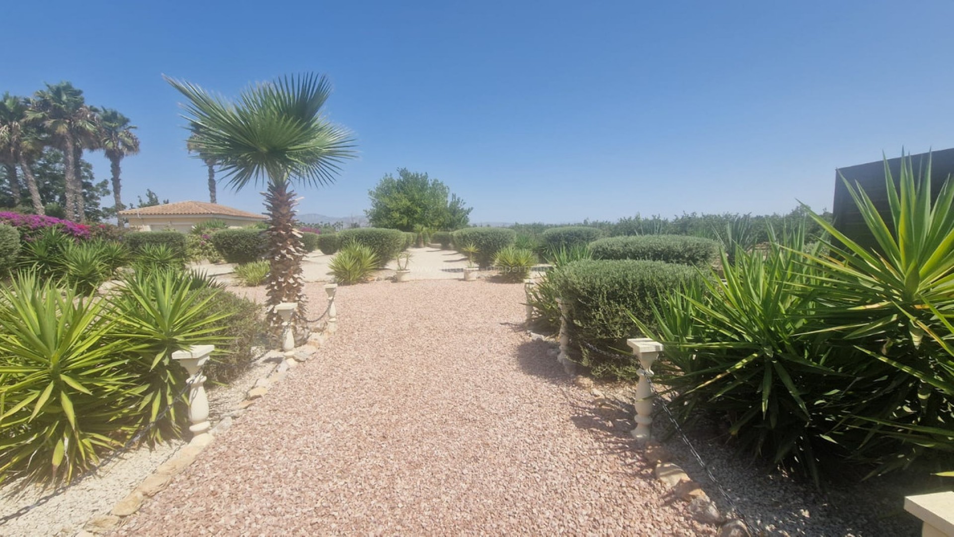 Hus / Villa i Catral Centro