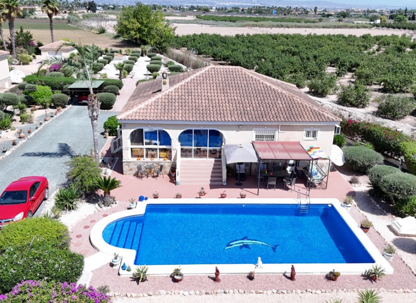 Hus / Villa i Catral Centro