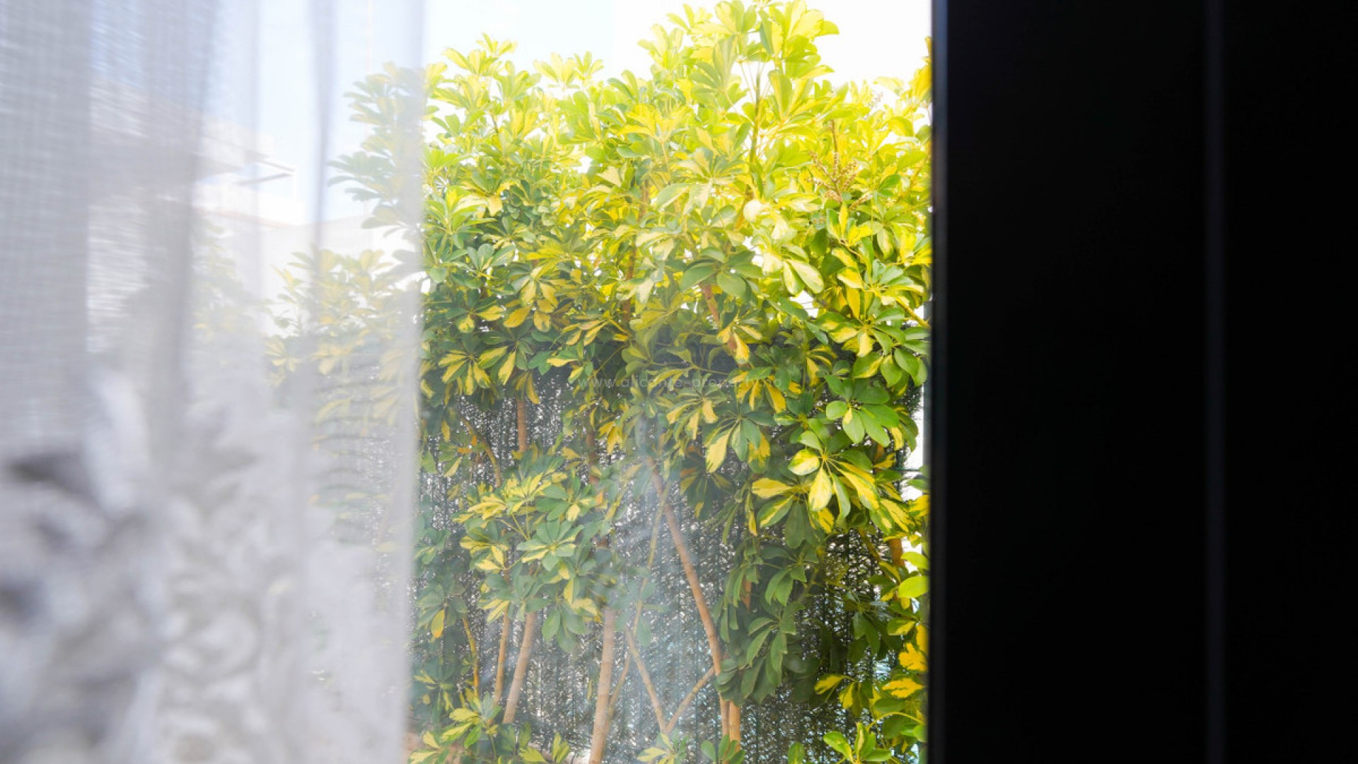 Hus / Villa i Ciudad Quesada