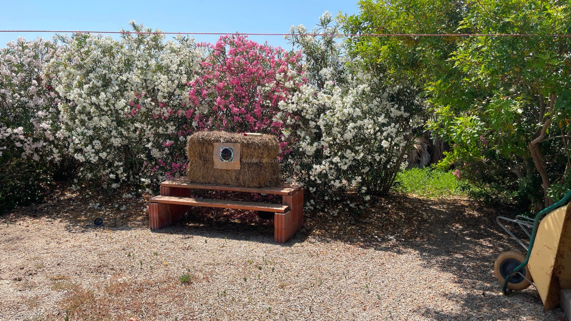 Hus / Villa i Daya Nueva Centro