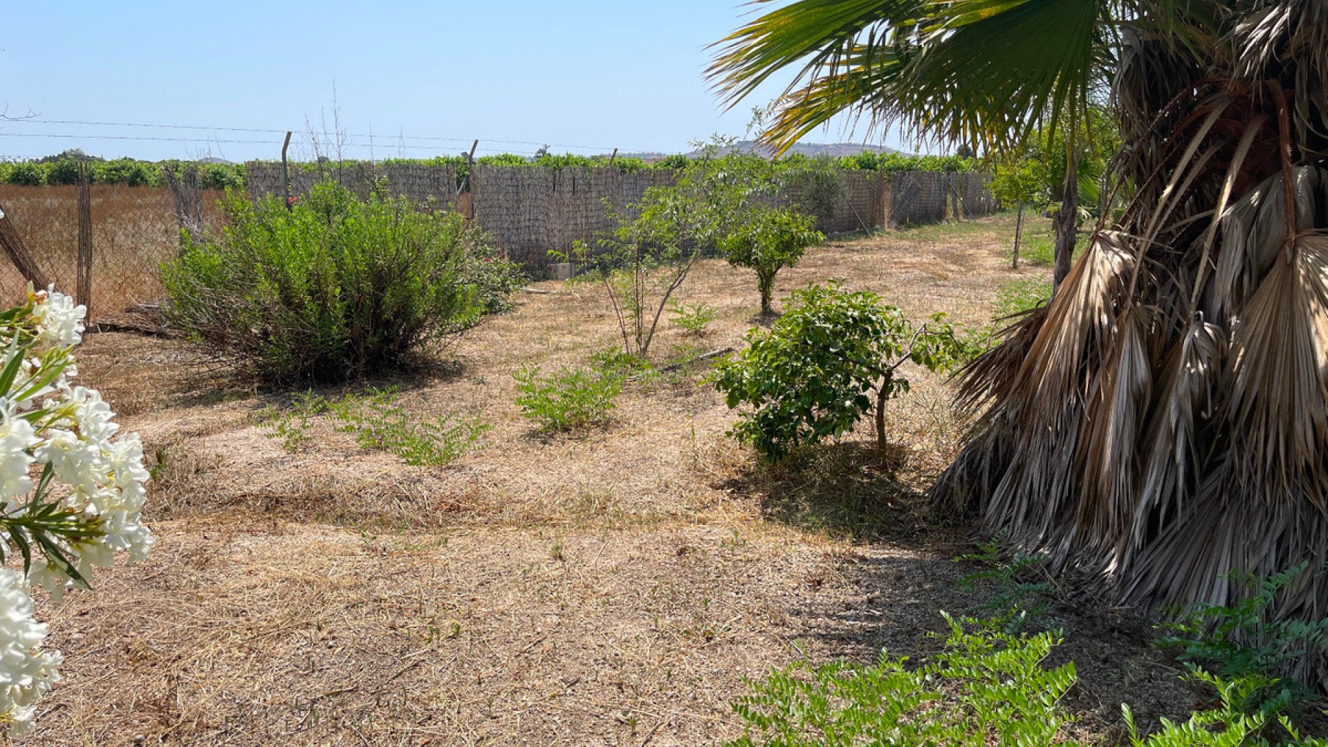 Hus / Villa i Daya Nueva Centro