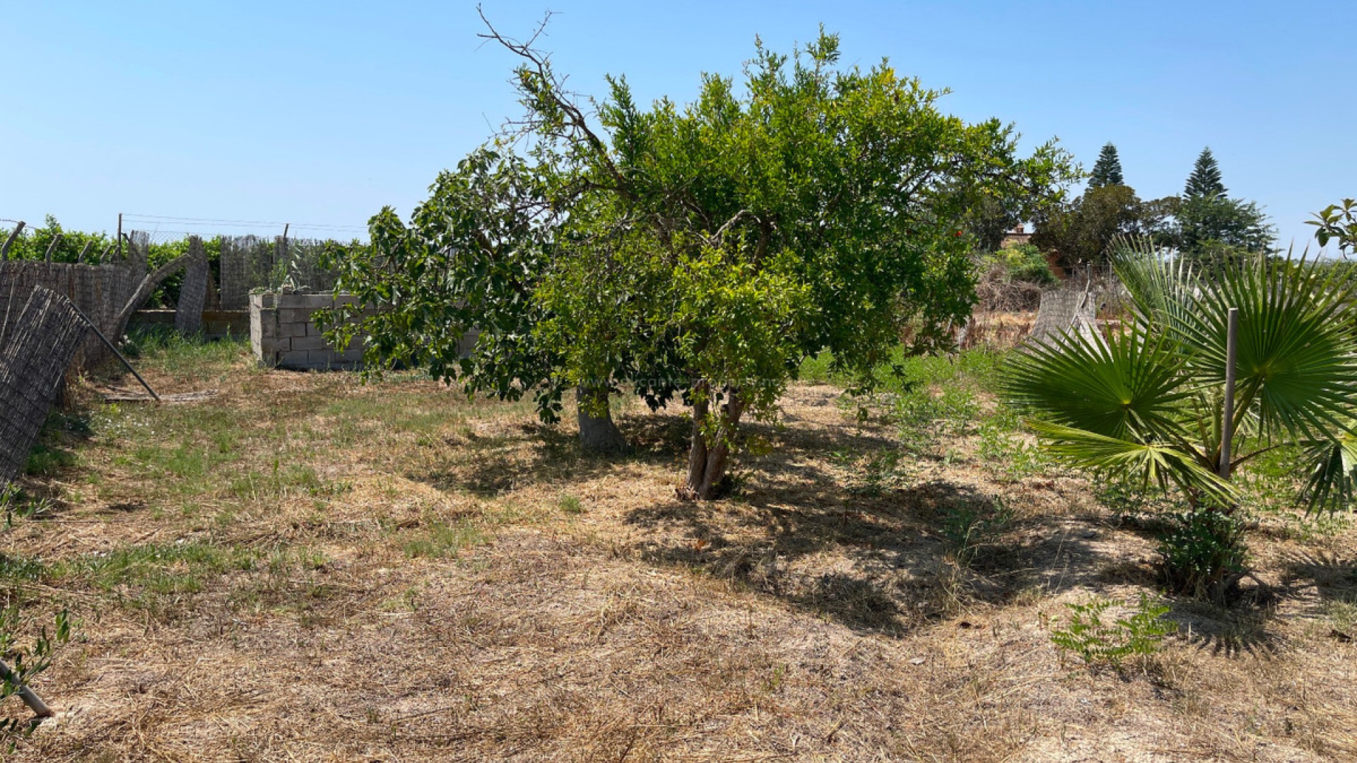 Hus / Villa i Daya Nueva Centro