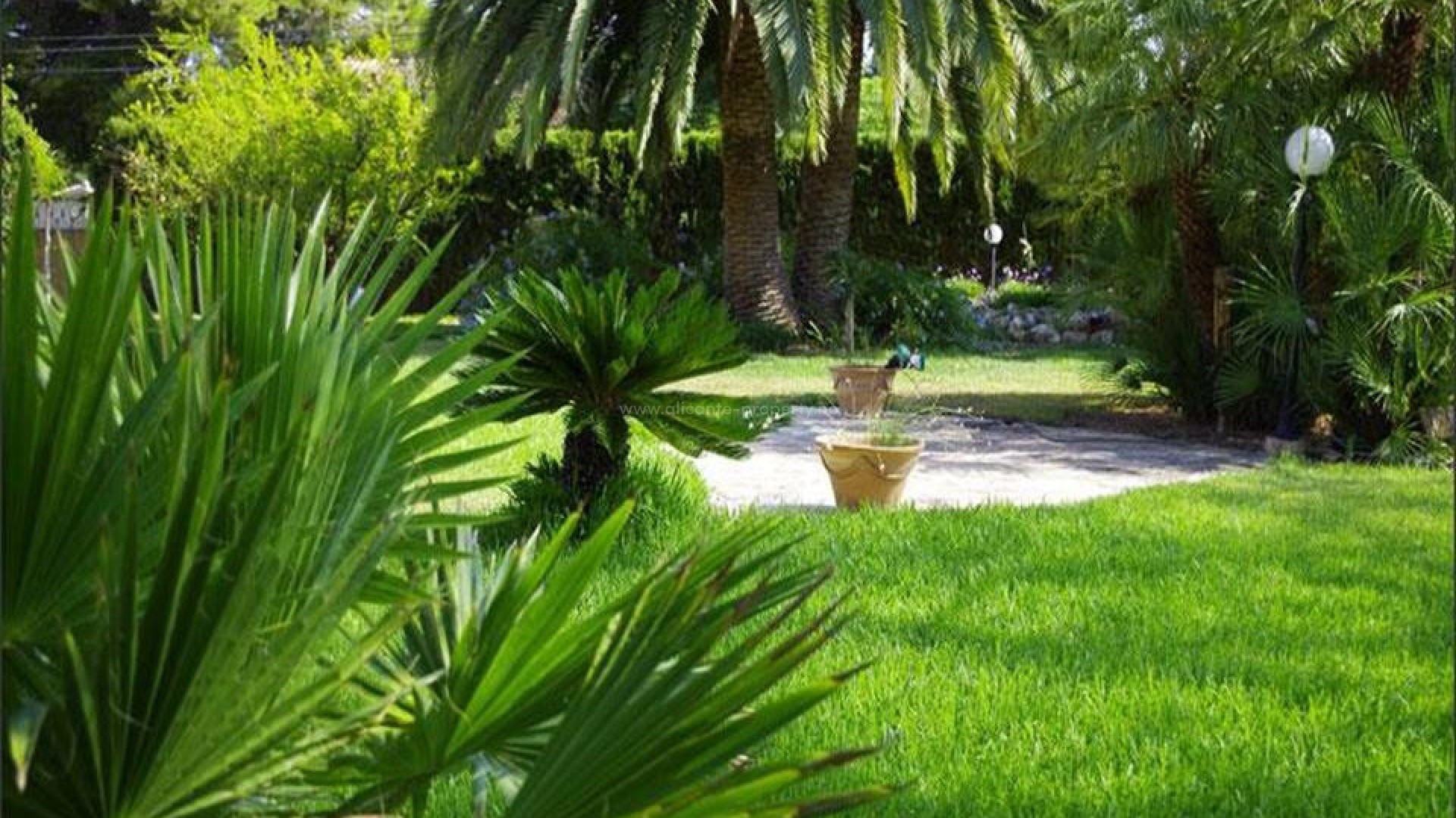 Hus / Villa i Denia Centro