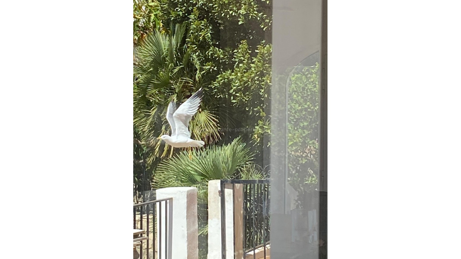 Hus / Villa i Denia Centro