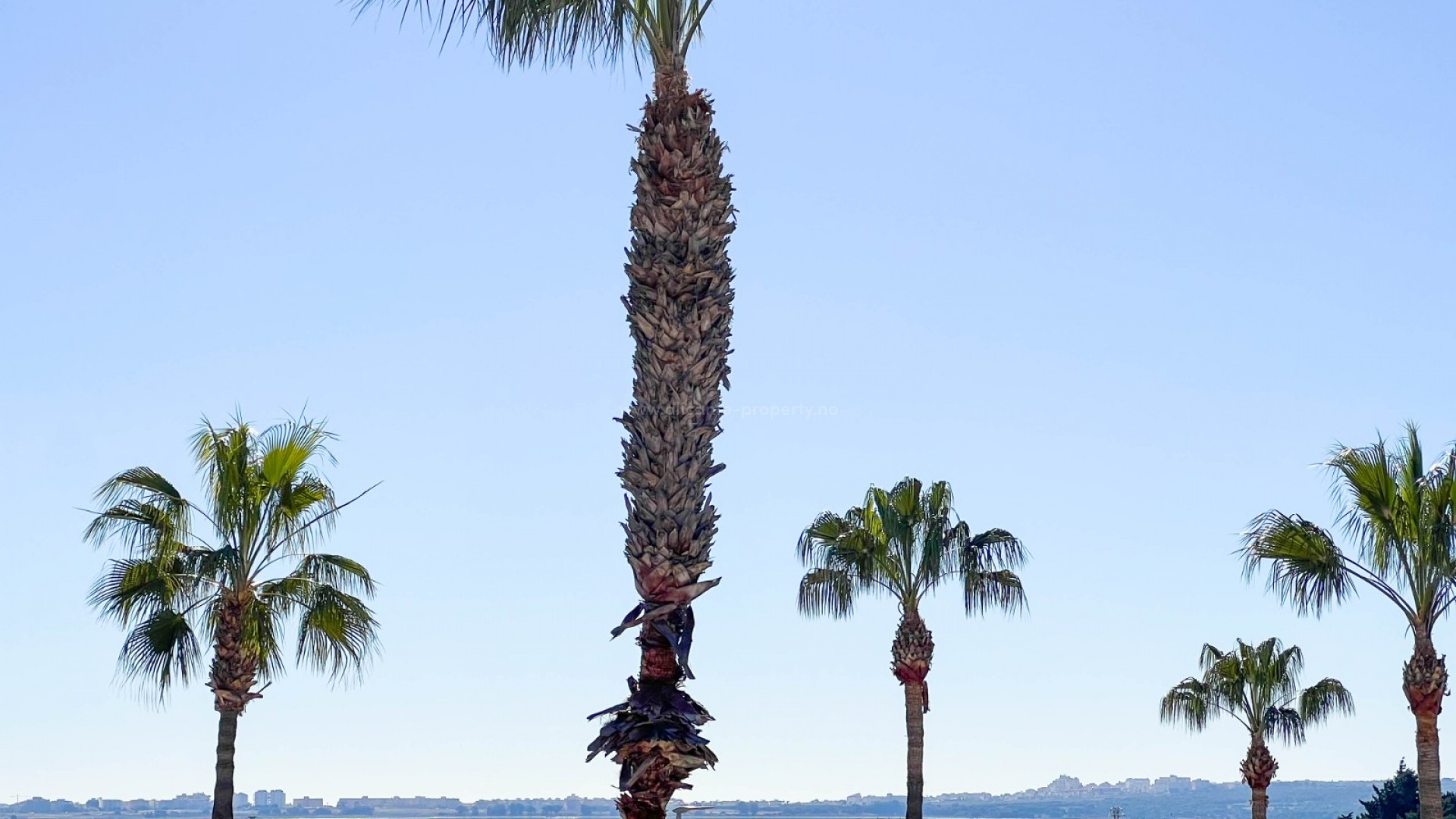 Hus / Villa i Doña Pepa