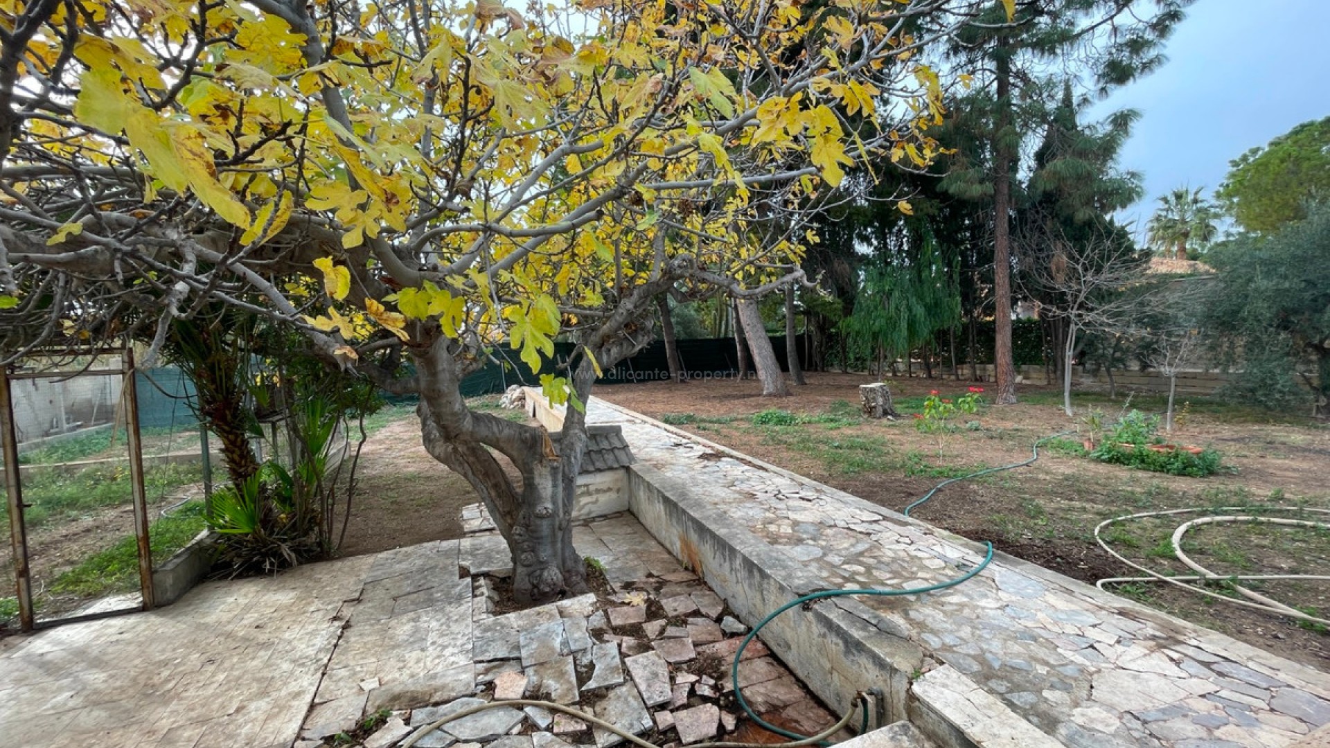 Hus / Villa i Elche Centro