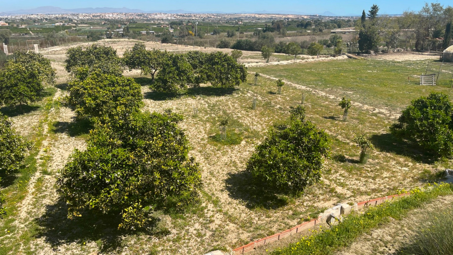 Hus / Villa i Guardamar del Segura Centro
