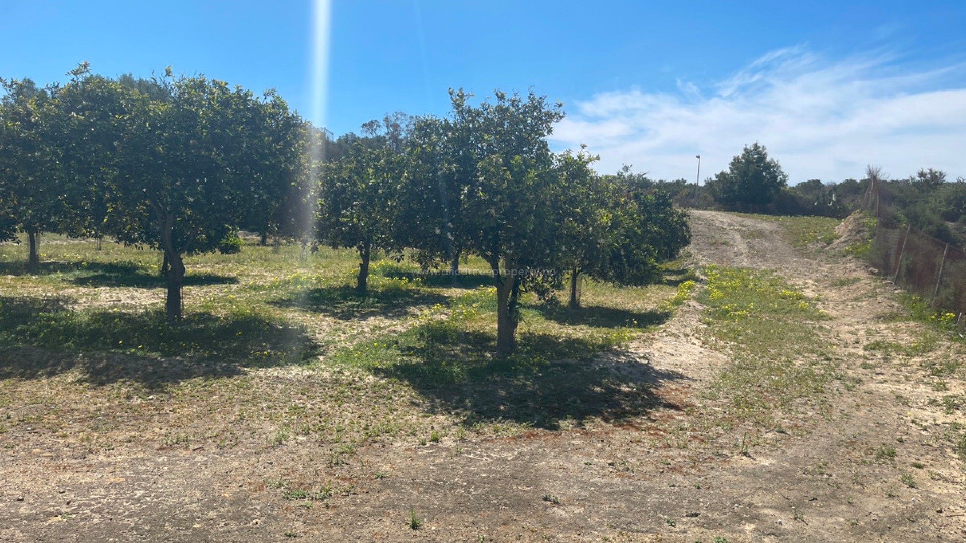 Hus / Villa i Guardamar del Segura Centro