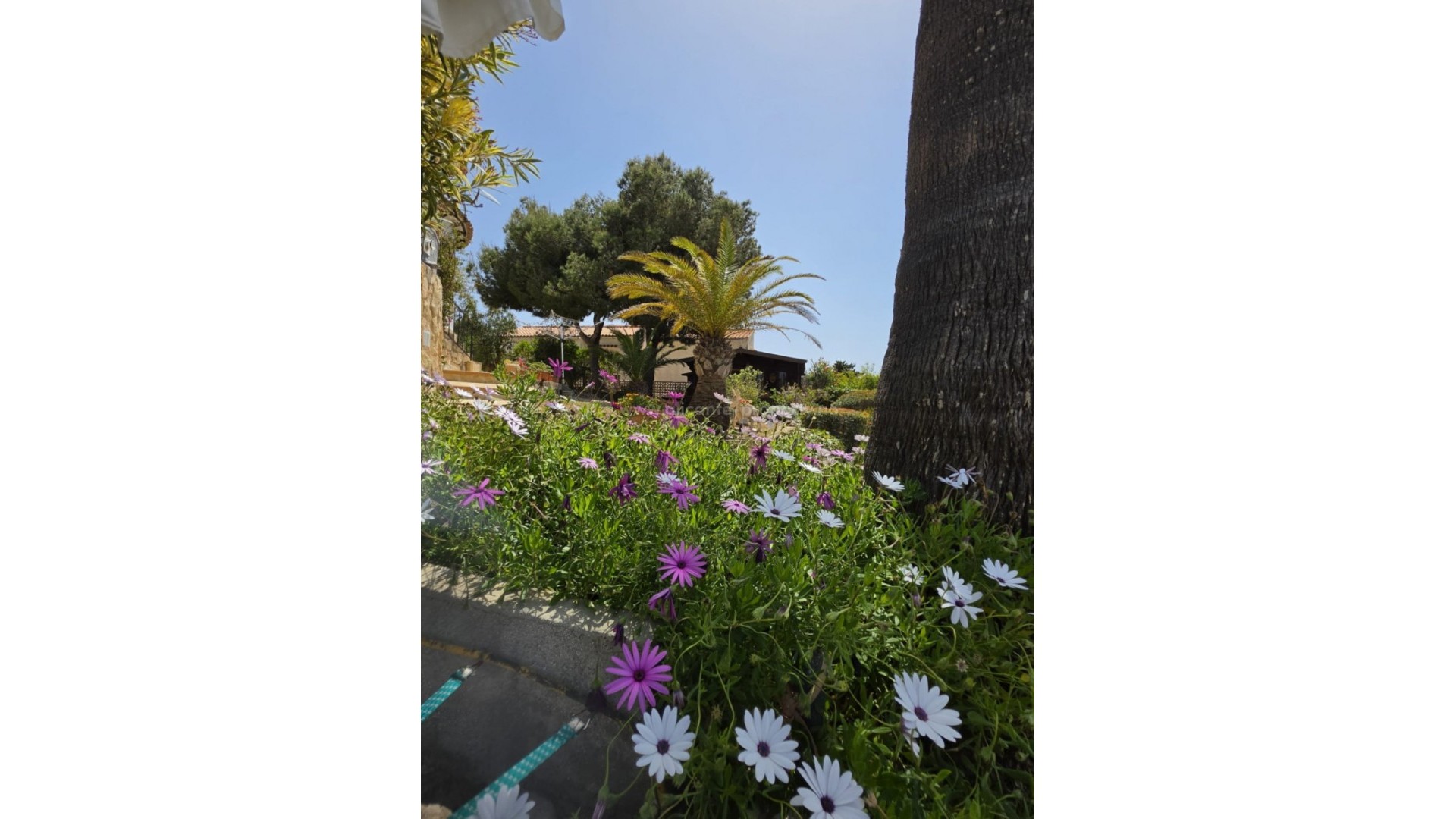 Hus / Villa i Jávea - Xàbia Centro