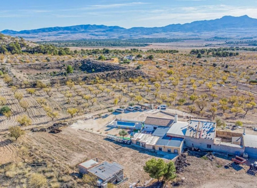 Hus / Villa i Jumilla Centro